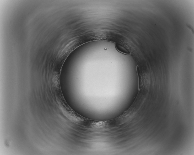 X0000101980092200807251243