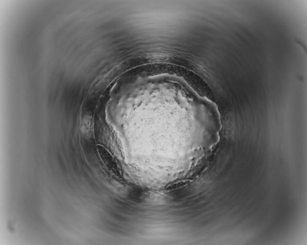 X0000101980093200807251243