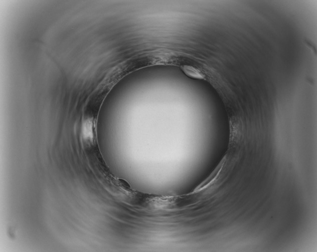 X0000101980094200807251243