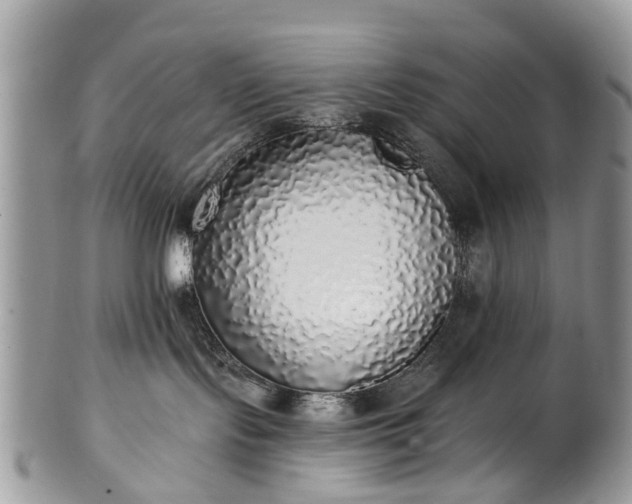 X0000101980095200807251243