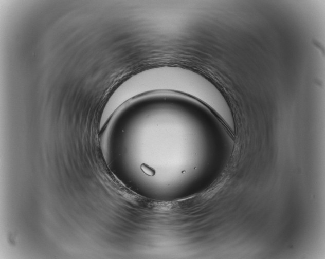 X0000101980096200807251243