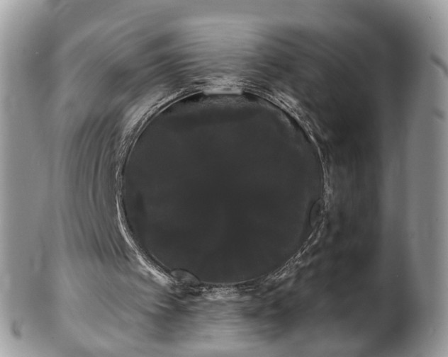 X0000101980097200807251242