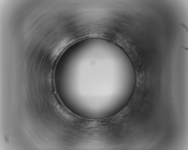 X0000101980098200807251242