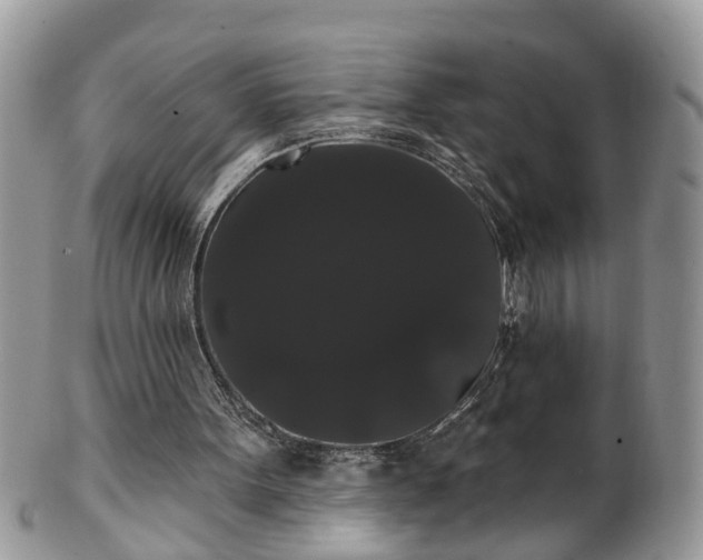 X0000101980099200807251242