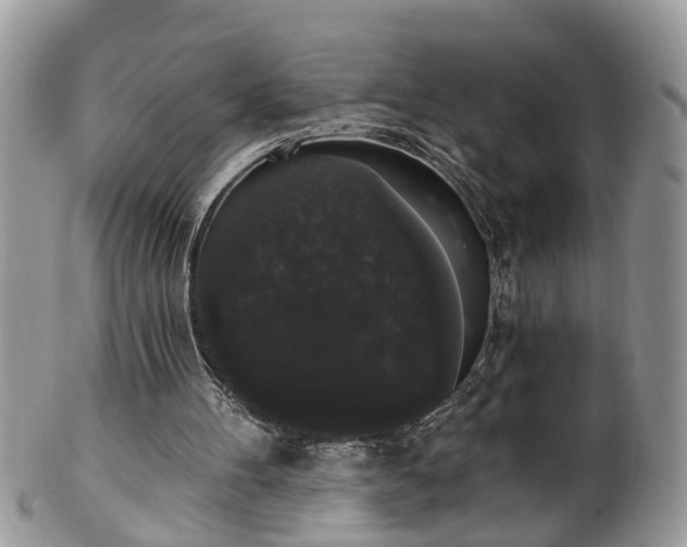 X0000101980100200807251242