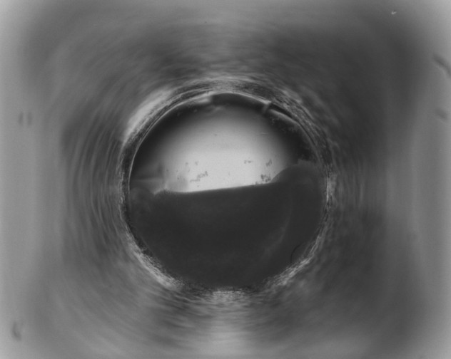 X0000101980101200807251242