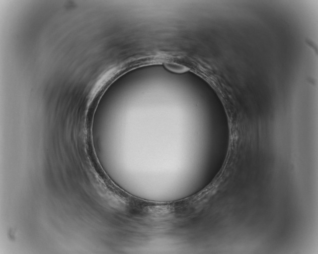 X0000101980102200807251242