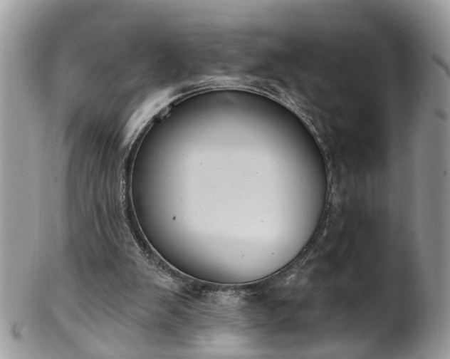 X0000101980103200807251242