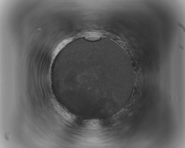 X0000101980104200807251242