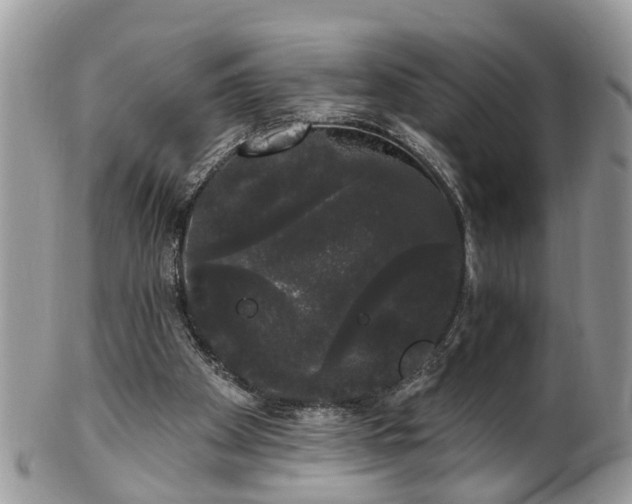 X0000101980105200807251242