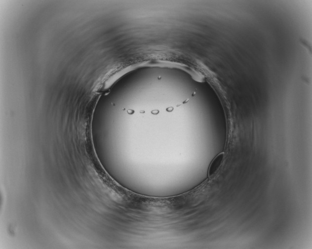 X0000101980106200807251242