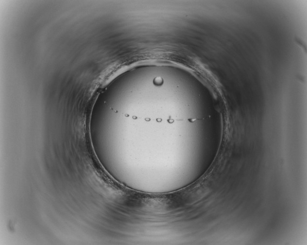 X0000101980107200807251242