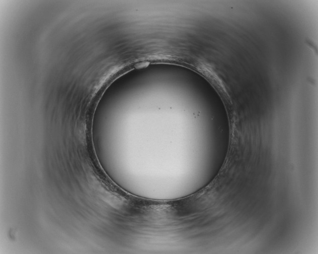 X0000101980108200807251242