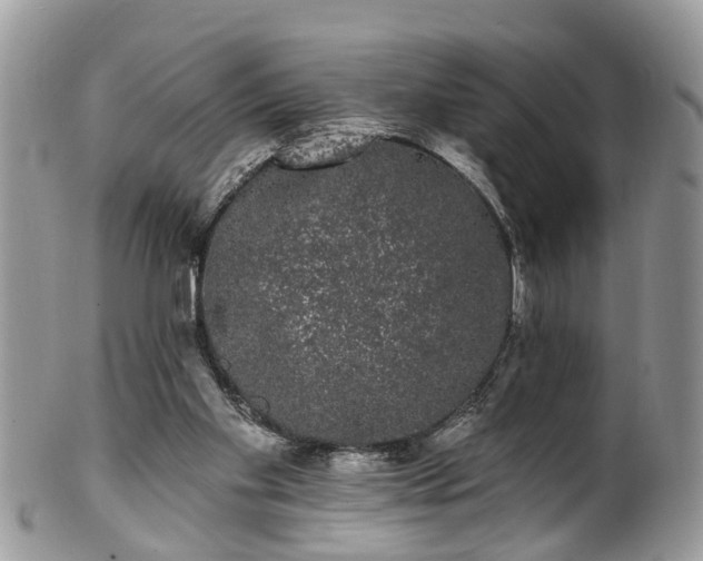 X0000101980109200807251242