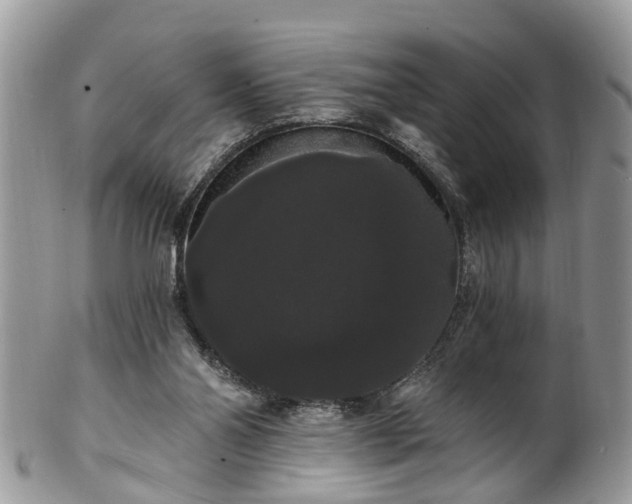 X0000101980110200807251242