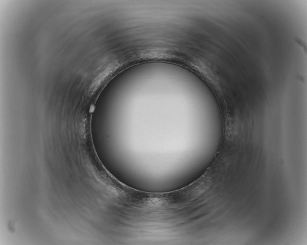 X0000101980111200807251242