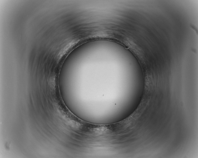 X0000101980112200807251242