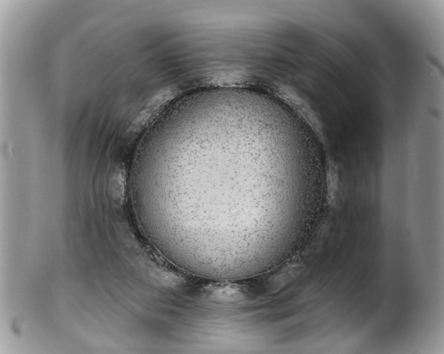 X0000101980113200807251242