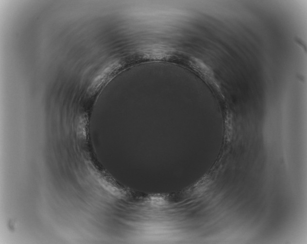 X0000101980114200807251242