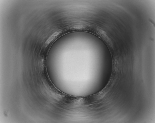 X0000101980116200807251242