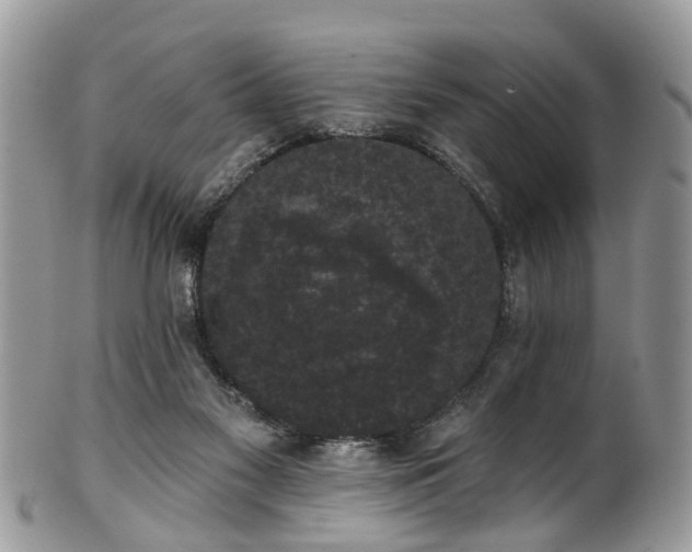 X0000101980117200807251242