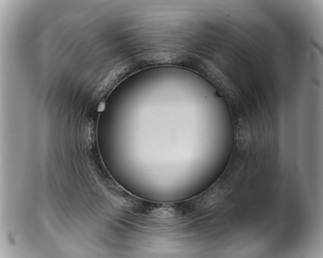 X0000101980119200807251242