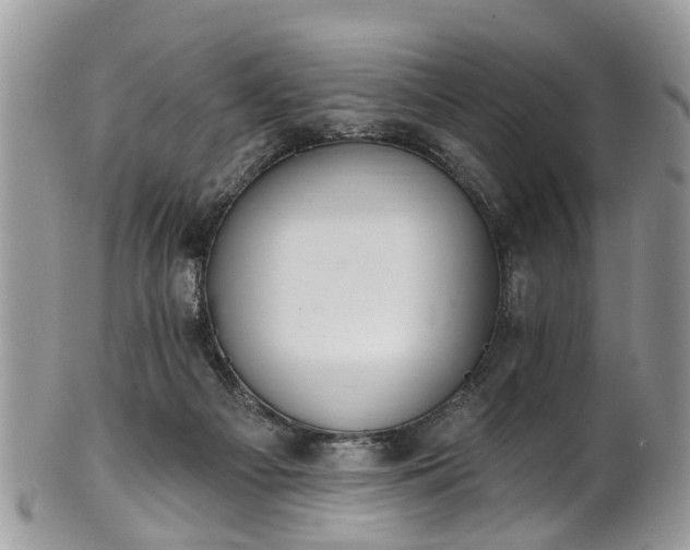 X0000101980121200807251242