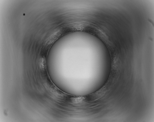 X0000101980122200807251242