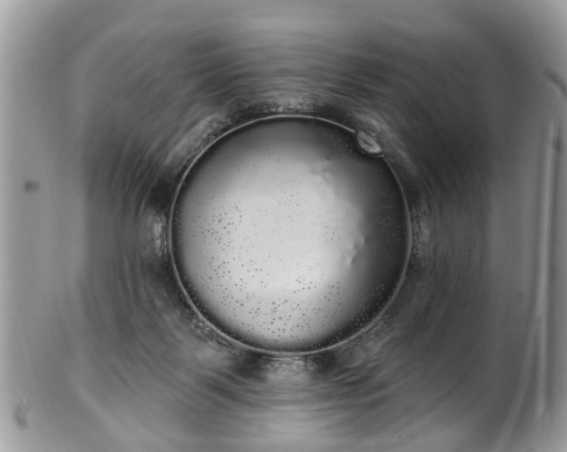 X0000101980123200807251242