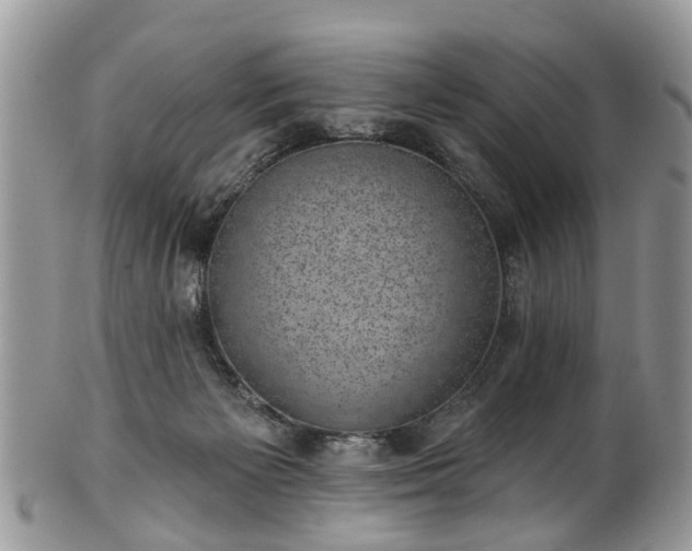 X0000101980125200807251242