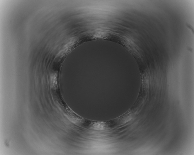 X0000101980127200807251242