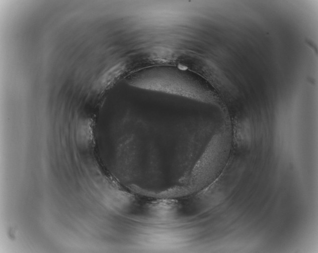 X0000101980128200807251242