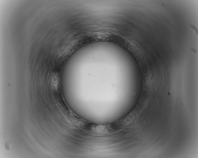 X0000101980129200807251242