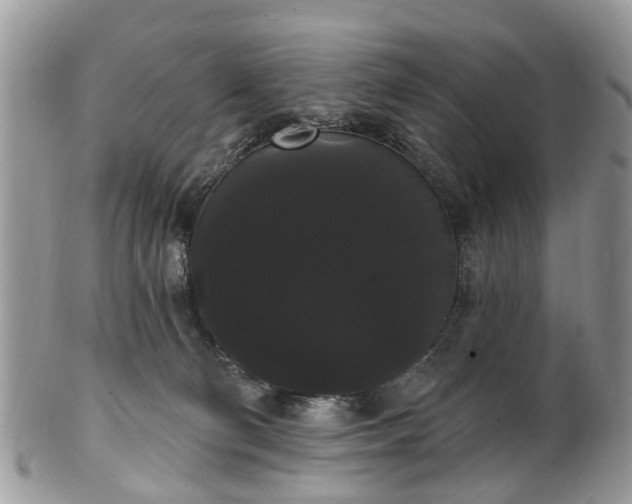 X0000101980130200807251242