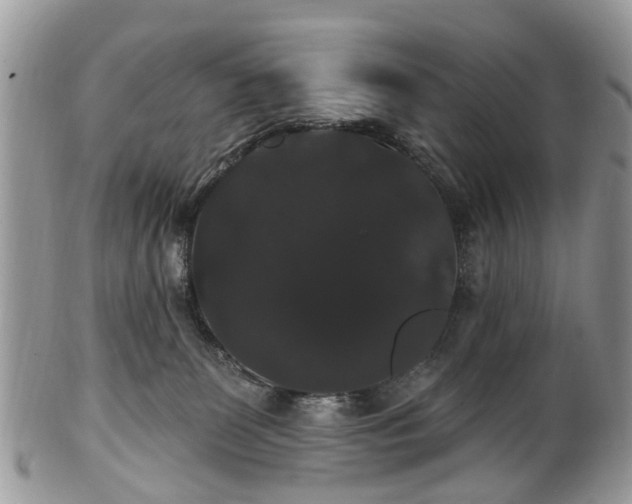 X0000101980131200807251242