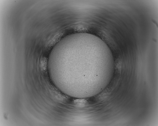 X0000101980133200807251242