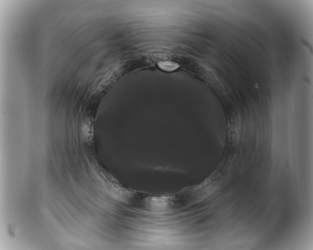 X0000101980134200807251242