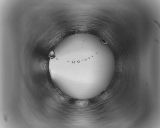 X0000101980135200807251242