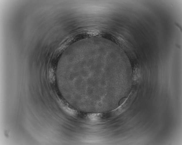 X0000101980136200807251242