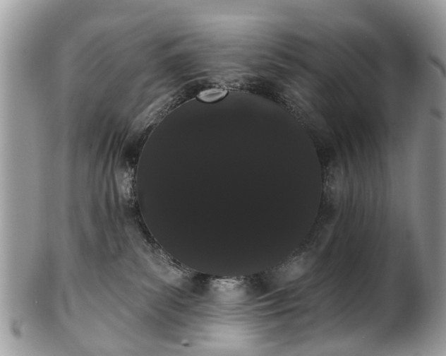 X0000101980139200807251242