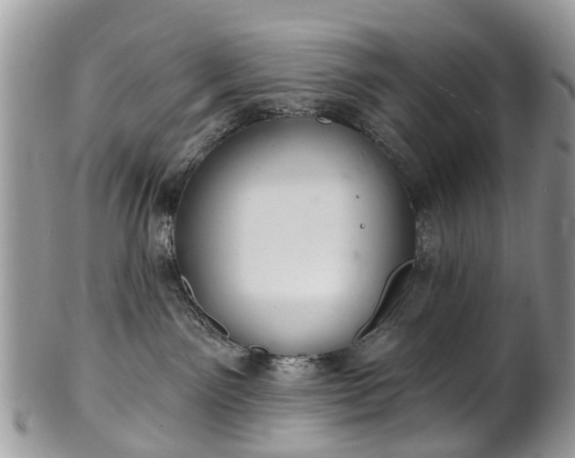 X0000101980141200807251242