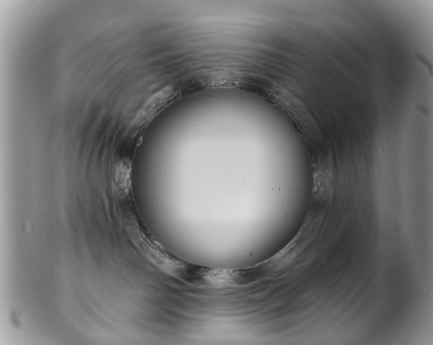 X0000101980142200807251242