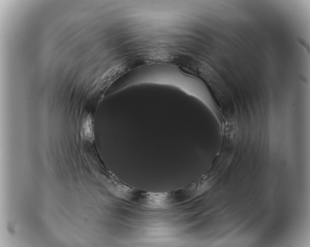 X0000101980143200807251242