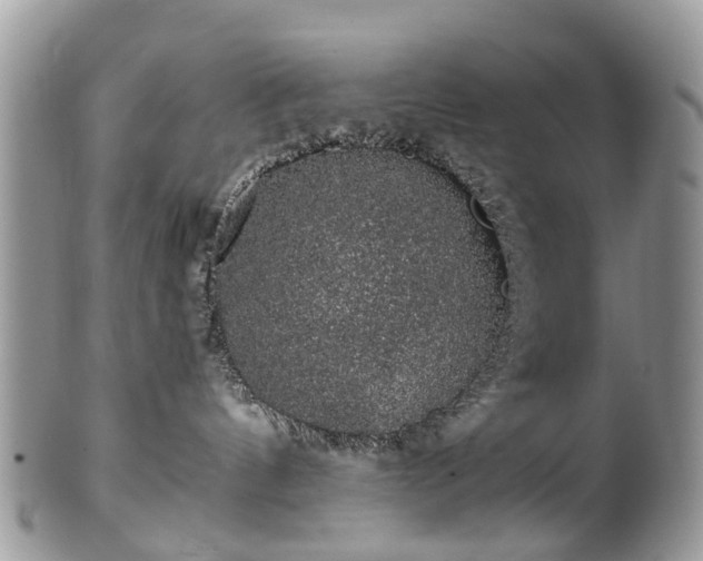 X0000101980144200807251242