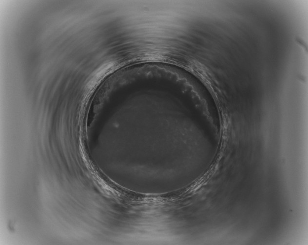 X0000101980145200807251241