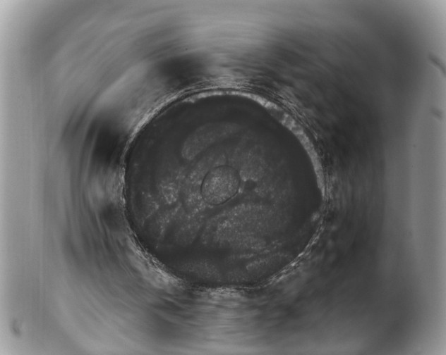 X0000101980146200807251241