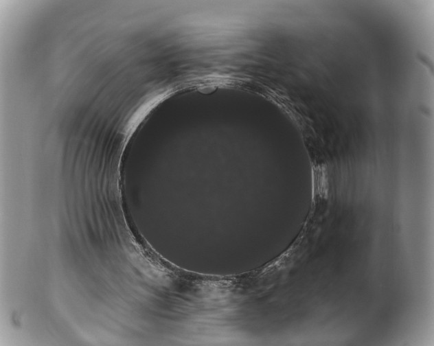 X0000101980147200807251241