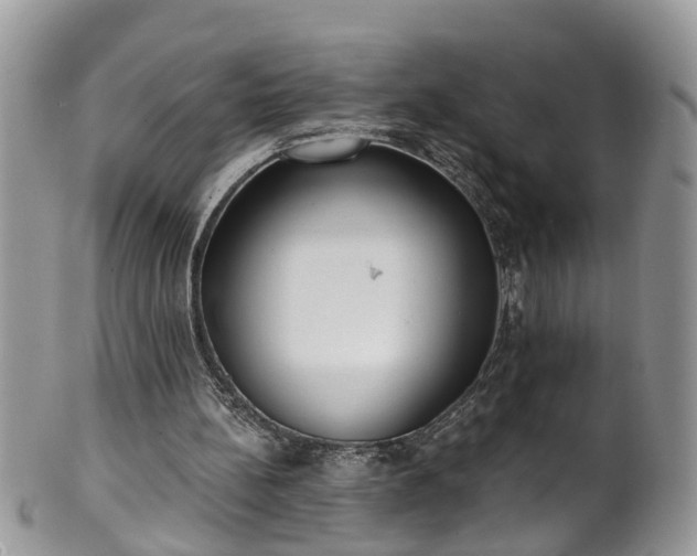 X0000101980148200807251241