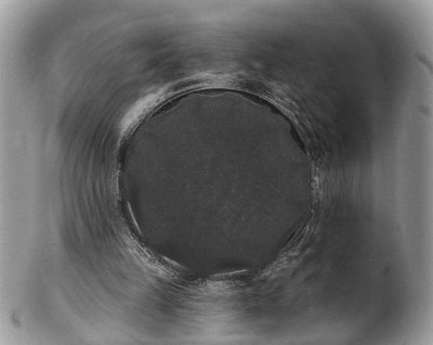 X0000101980149200807251241