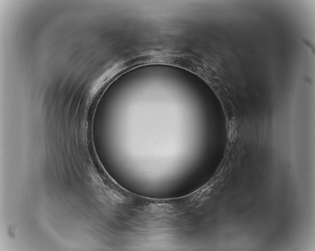 X0000101980150200807251241